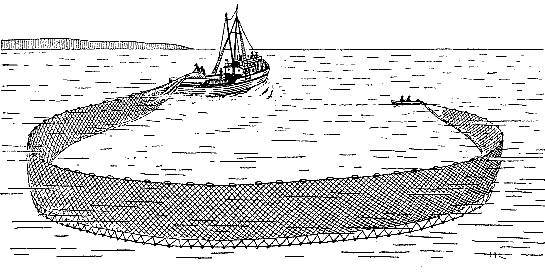 Море живёт _110.jpg