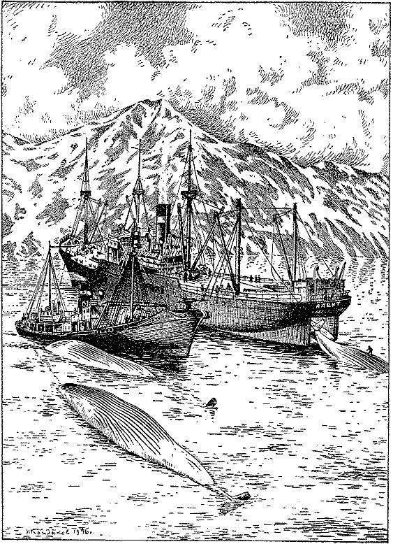 Море живёт _111.jpg