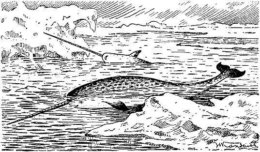 Море живёт _112.jpg
