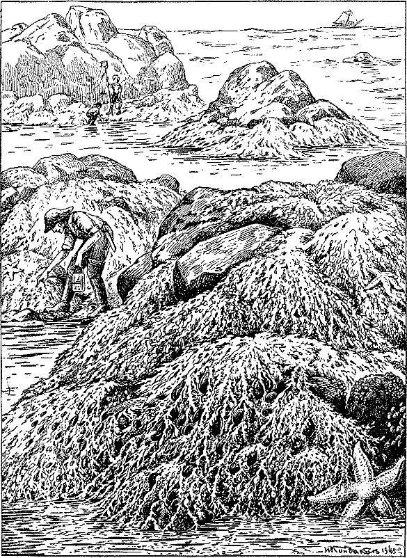 Море живёт _127.jpg