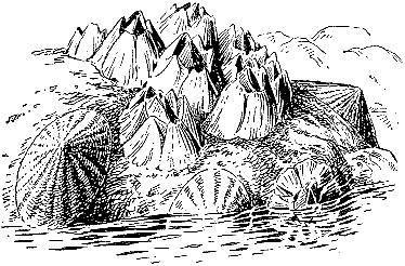 Море живёт _22.jpg