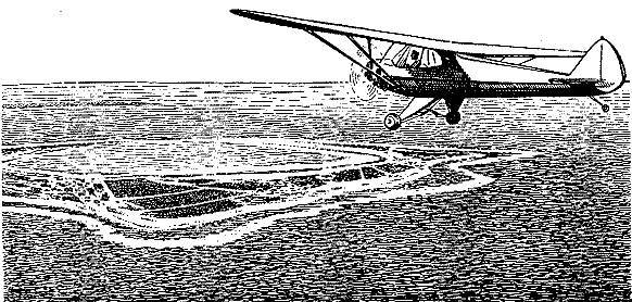 Море живёт _30.jpg