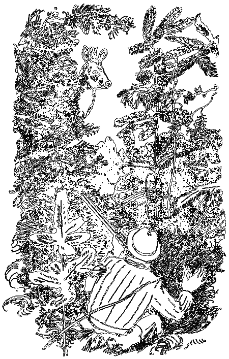 Нежнорогий возвращается в лес i_006.png