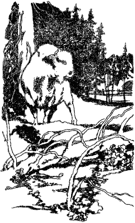 Нежнорогий возвращается в лес i_003.png
