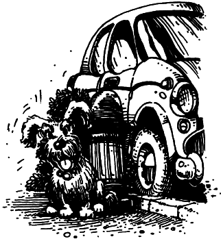 Кто напал на парикмахера? i_018.png