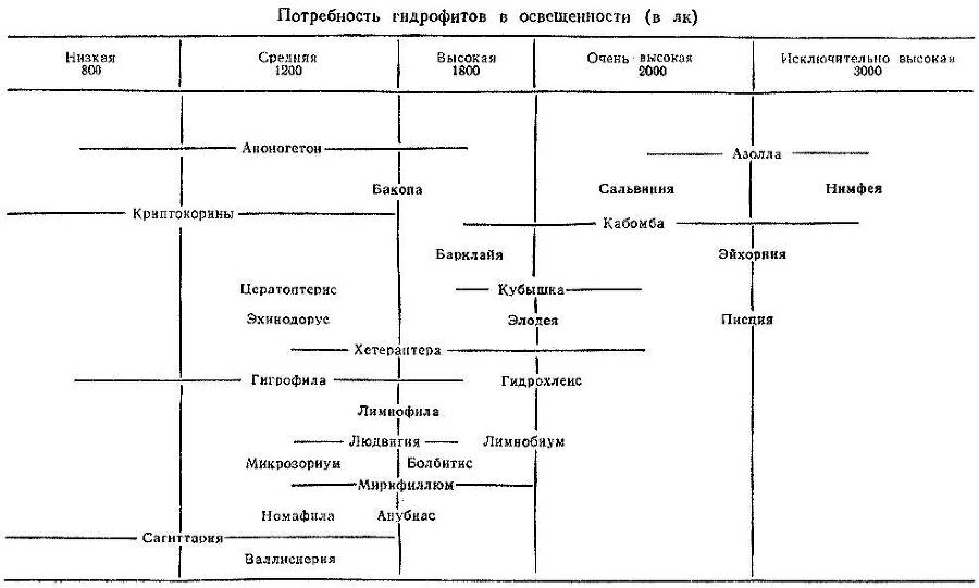 По аллеям гидросада _4.jpg