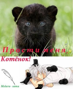 Прости меня, Котёнок!