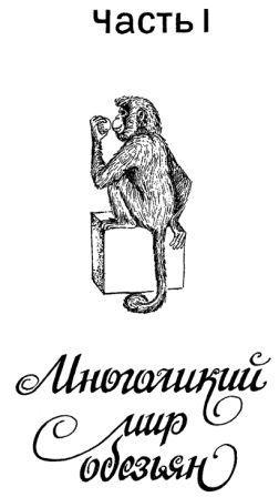 Обезьяны, обезьяны, обезьяны... _3.jpg