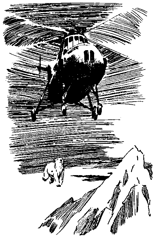 Повесть о белой медведице. Пират (сборник) pic_3.png