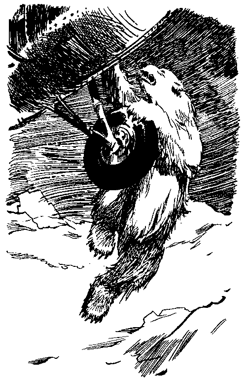Повесть о белой медведице. Пират (сборник) pic_9.png