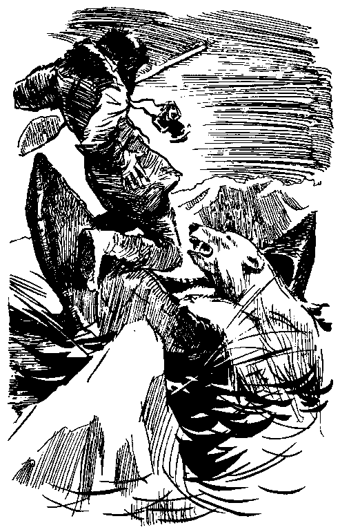 Повесть о белой медведице. Пират (сборник) pic_10.png