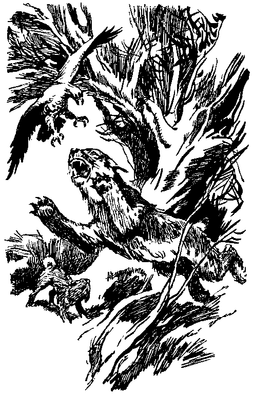 Повесть о белой медведице. Пират (сборник) pic_15.png