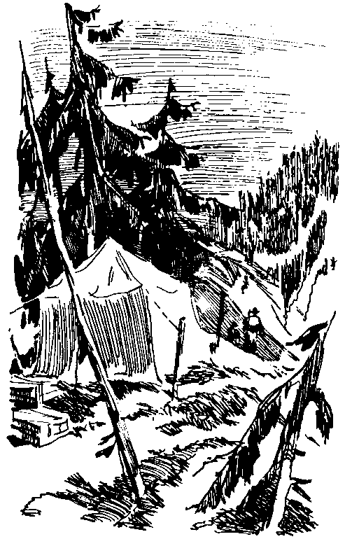 Повесть о белой медведице. Пират (сборник) pic_16.png