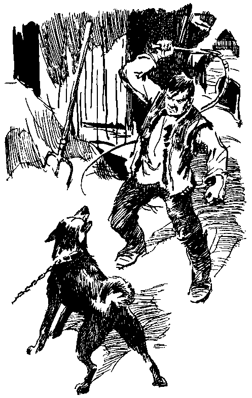 Повесть о белой медведице. Пират (сборник) pic_21.png