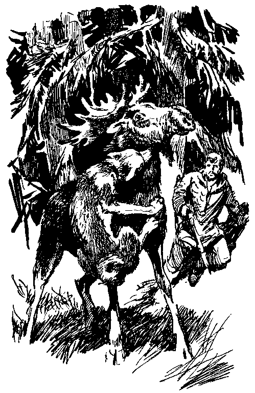Повесть о белой медведице. Пират (сборник) pic_24.png
