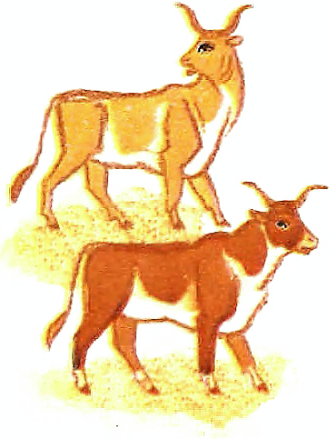 Чудесные превращения Баты (с илл.) i_014.png