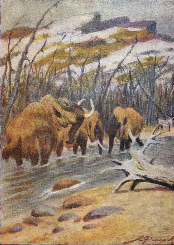 Борис Александрович Трофимов _104.jpg