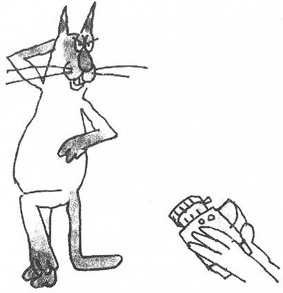 Как стать счастливым котом i_008.jpg