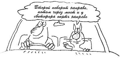 Как стать счастливым котом i_011.jpg