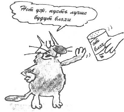 Как стать счастливым котом i_016.jpg