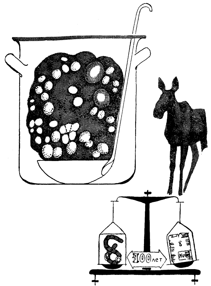 Морской змей и маленькая хлорелла doc2fb_image_03000003.png
