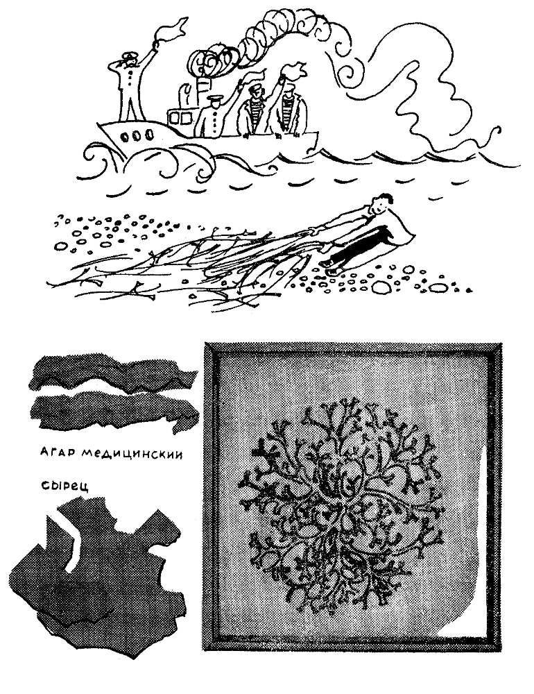 Морской змей и маленькая хлорелла doc2fb_image_03000004.png