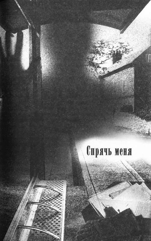 Мода в саване. Спрячь меня id59738_pic01.jpg