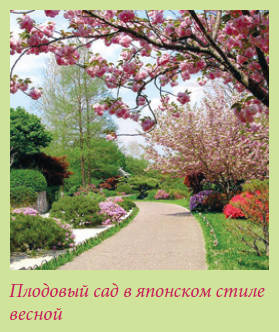 Китайский и японский сад i_002.jpg