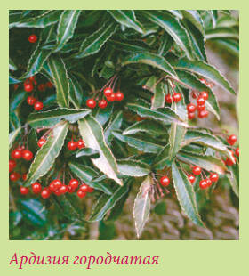 Китайский и японский сад i_090.jpg