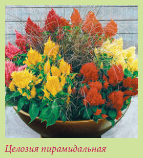Китайский и японский сад i_144.jpg