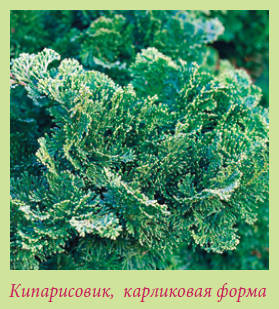 Китайский и японский сад i_147.jpg