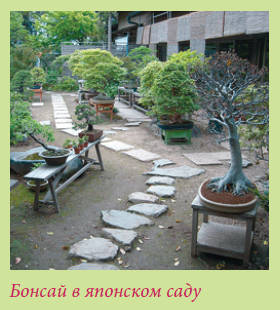 Китайский и японский сад i_014.jpg