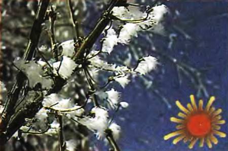 Юный техник, 2007 № 04 _43.jpg