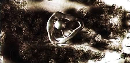 Юный техник, 2007 № 04 _59.jpg