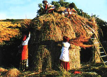 Юный техник, 2007 № 04 _23.jpg