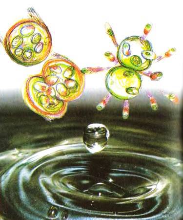 Юный техник, 2007 № 02 _15.jpg