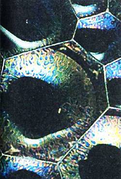 Юный техник, 2006 № 10 _18.jpg