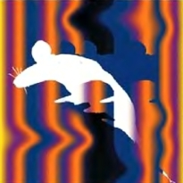 Юный техник, 2005 № 07 _55.jpg
