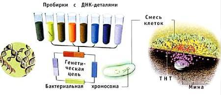 Юный техник, 2005 № 06 _30.jpg