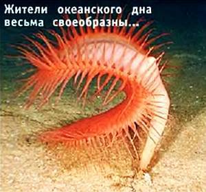Юный техник, 2005 № 09 _26.jpg