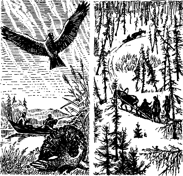 Тайга – мой дом i_005.png
