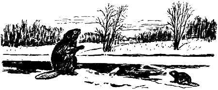 Севка, Савка и Ромка i_007.png
