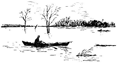 Севка, Савка и Ромка i_008.png