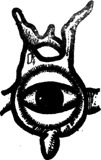 Ибн Сина Авиценна i_038.png