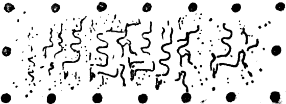 Ибн Сина Авиценна i_040.png
