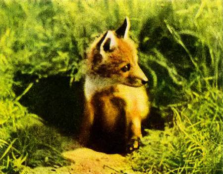 Юный техник, 1956 № 03 _28.jpg