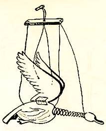 Юный техник, 1956 № 03 _84.jpg
