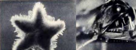 Юный техник, 1956 № 02 _63.jpg