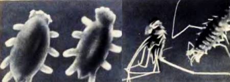 Юный техник, 1956 № 02 _65.jpg