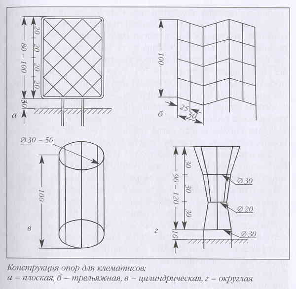 Клематисы _19eh.jpg